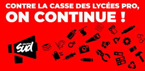 contre la casse de la voie pro !